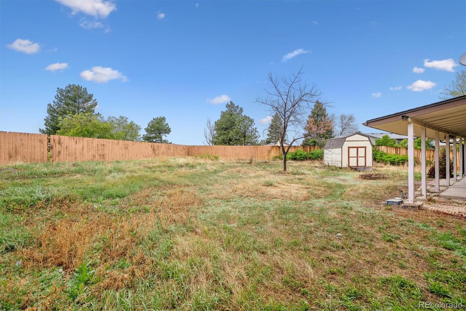 404 Neptune Court Lone Tree, CO 80124 - Photo 15 of 16 a view of an outdoor space and yard
