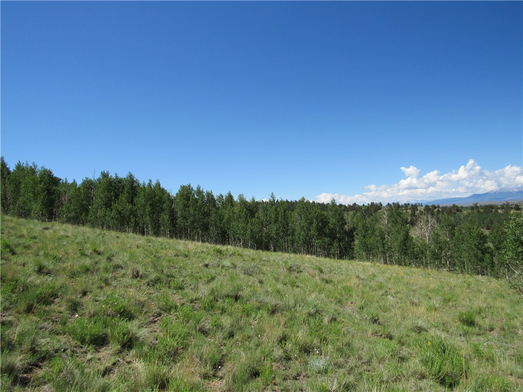 12950 Elkhorn Road Como, CO 80432 - Photo 17 of 30 Gallery Image 17