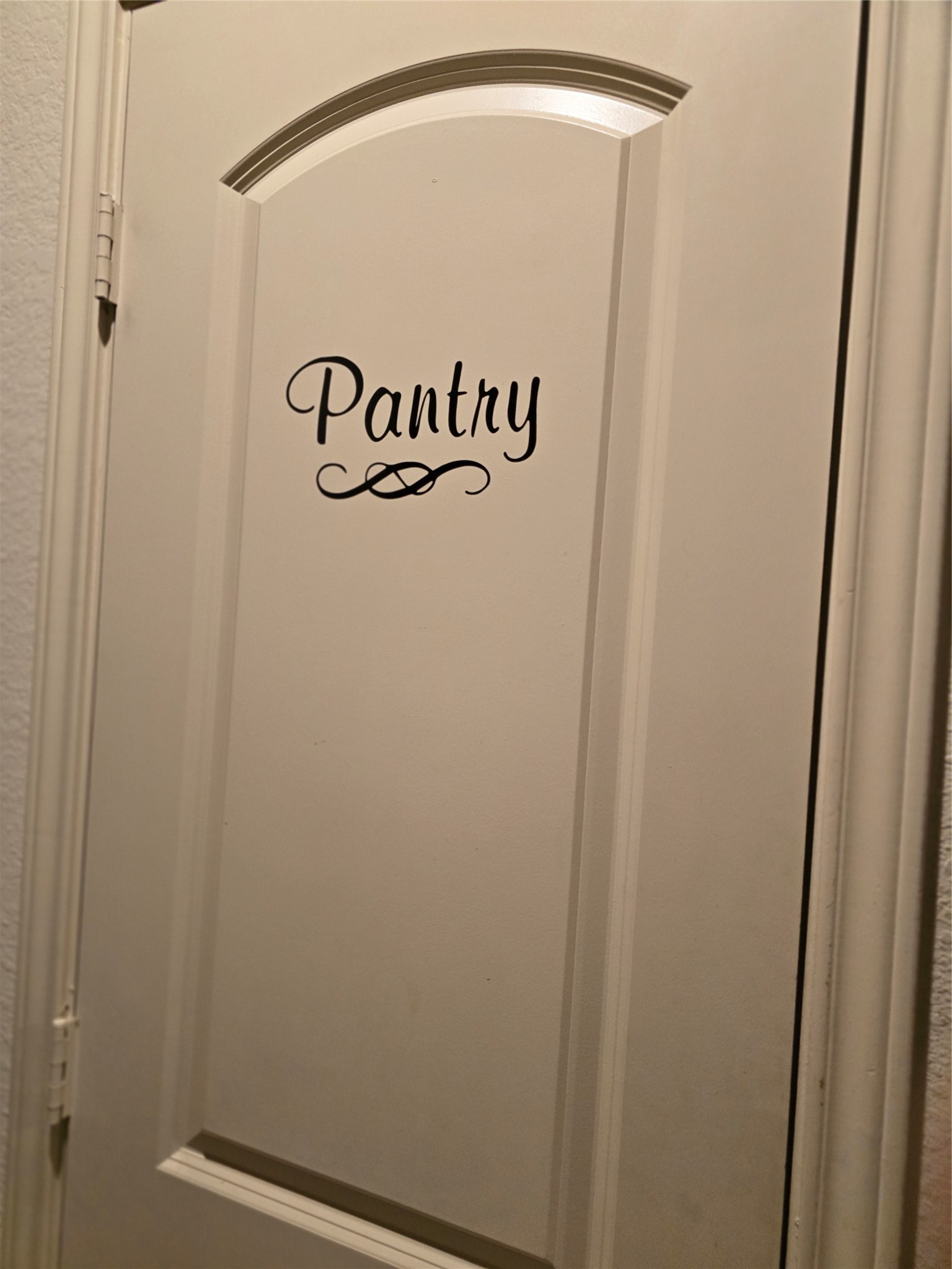 2703 Baldy Road Spring, TX 77373 - Photo 10 of 24 kitchen pantry near butler's bar