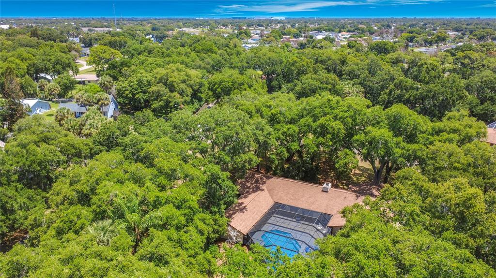420 Nina Road Northeast Palm Bay, FL 32907 - Photo 89 of 90