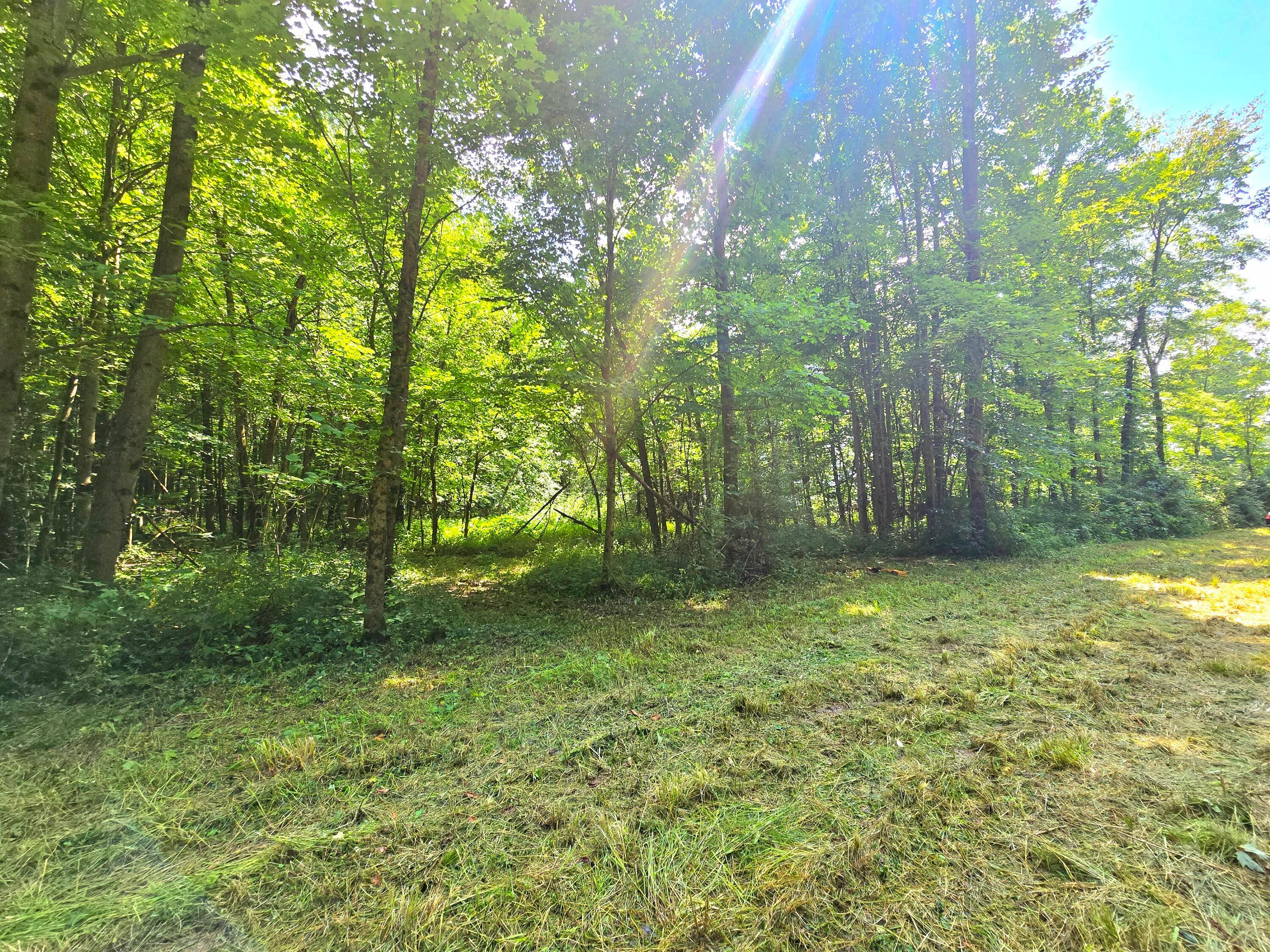9026-1 Gregg Road Fredericktown, OH 43019 - Photo 12 of 16 1000062282