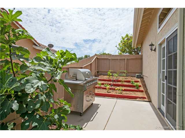 1884 High Ridge Avenue Carlsbad, CA 92008 - Photo 18 of 21 veggie garden with fig tree