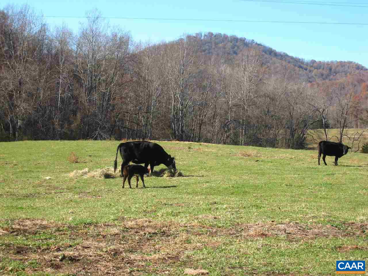 Greenfield Road Afton, VA 22920 - Photo 3 of 14 Gallery Image 3