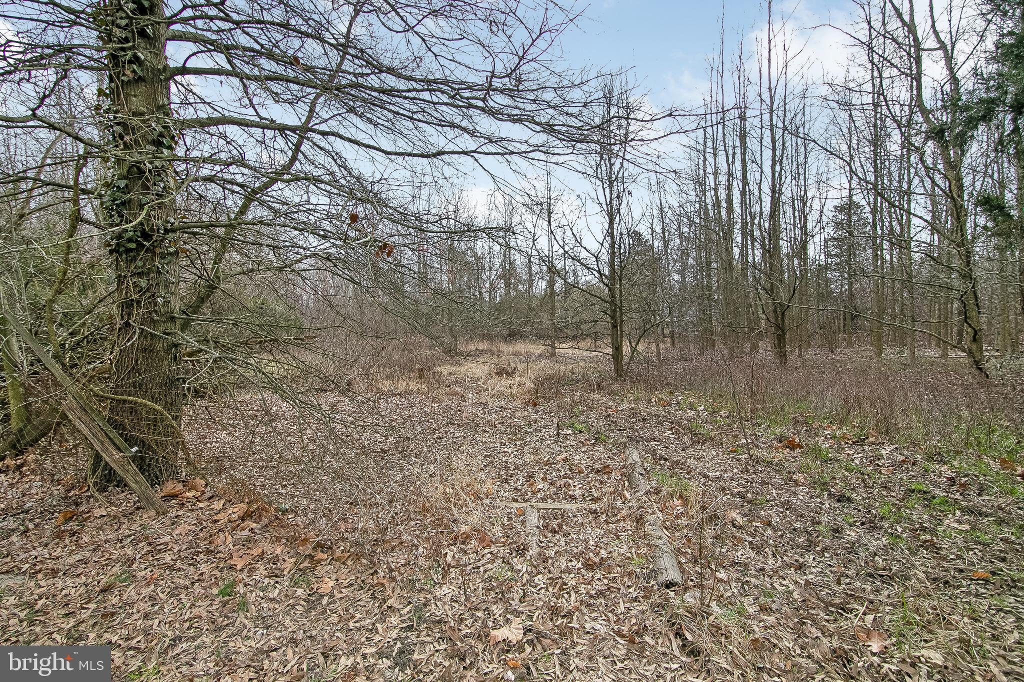 917 South Church Street Mount Laurel, NJ 08054 - Photo 13 of 24 Subdivide into 3-4 lots