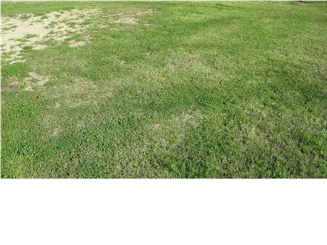 13 Alcide Bonin Road Breaux Bridge, LA 70517 - Photo 3 of 3 Gallery Image 3