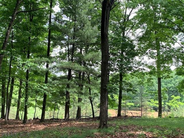1244 Elbinsville Road Artemas, PA 17211 - Photo 21 of 34 Gallery Image 21