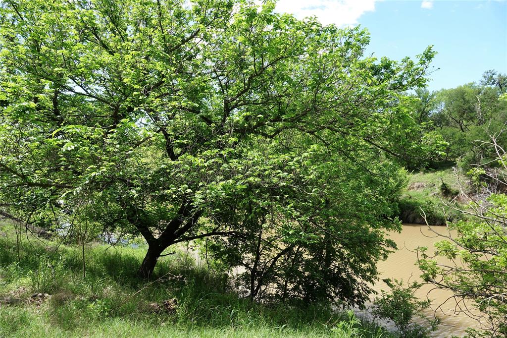 588 County Road 430 Mullin, TX 76864 - Photo 11 of 40