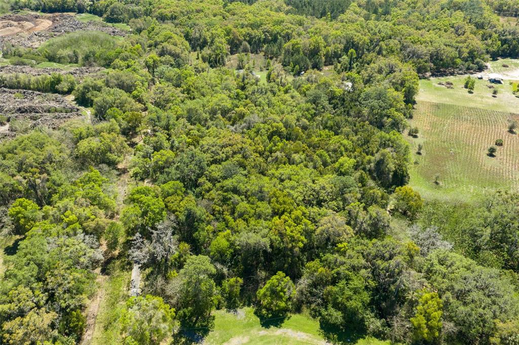 8644 Northwest 38th Avenue Road Ocala, FL 34482 - Photo 2 of 8