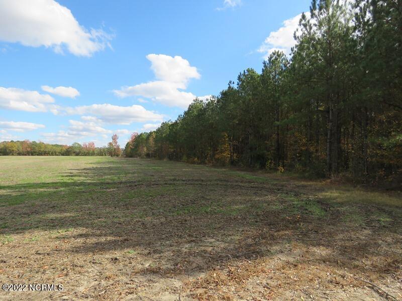 0 Lovette Road Lumberton, NC 28358 - Photo 22 of 39 IMG_6297