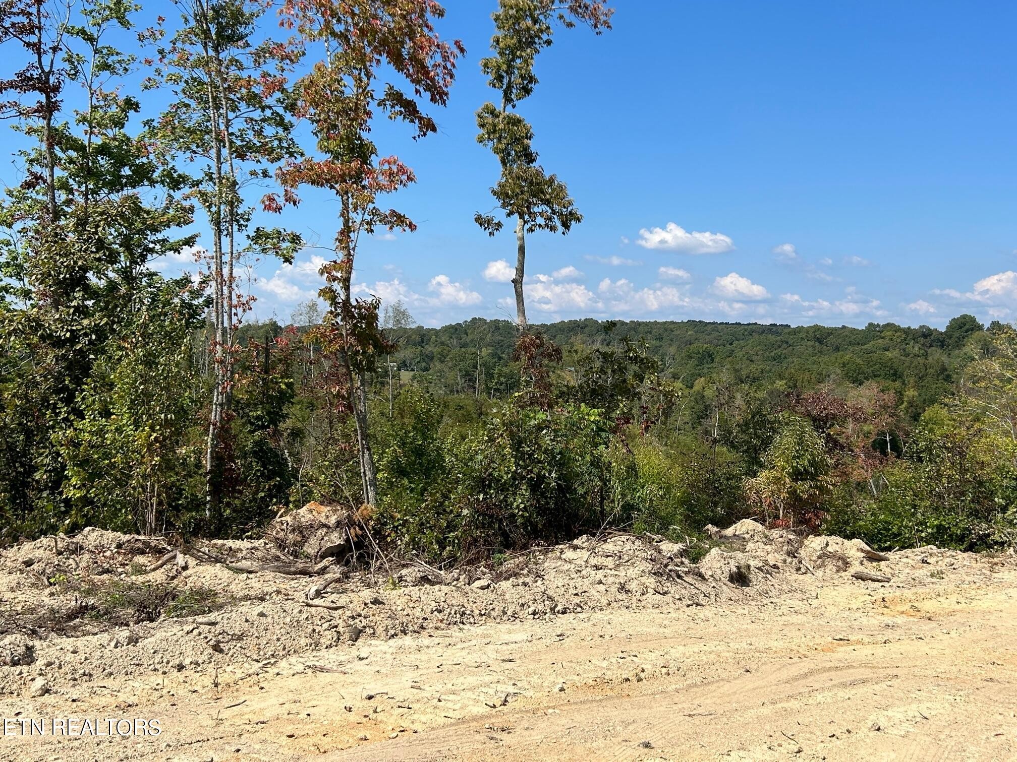 8 Euchee Road Ten Mile, TN 37880 - Photo 8 of 31 Gallery Image 8