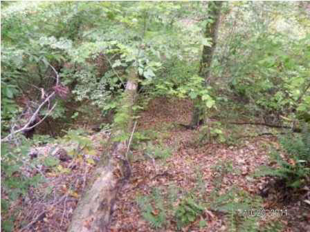 0 Evergreen Road Louisville, MS 39339 - Photo 13 of 13 Photo 13