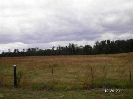 0 Evergreen Road Louisville, MS 39339 - Photo 2 of 13 Photo 2