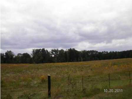 0 Evergreen Road Louisville, MS 39339 - Photo 3 of 13 Photo 3