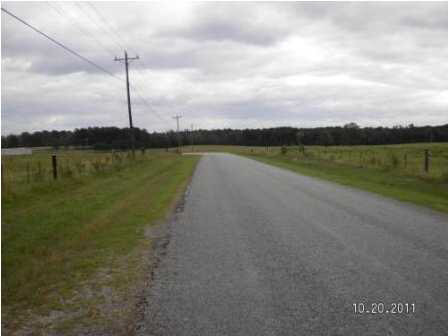 0 Evergreen Road Louisville, MS 39339 - Photo 4 of 13 Photo 4