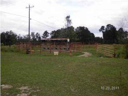 0 Evergreen Road Louisville, MS 39339 - Photo 5 of 13 Photo 5