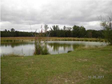 0 Evergreen Road Louisville, MS 39339 - Photo 6 of 13 Photo 6