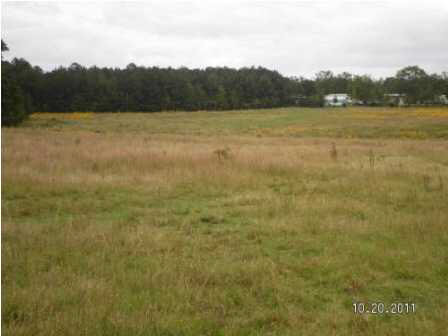 0 Evergreen Road Louisville, MS 39339 - Photo 8 of 13 Photo 8