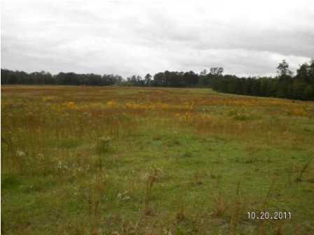 0 Evergreen Road Louisville, MS 39339 - Photo 9 of 13 Photo 9