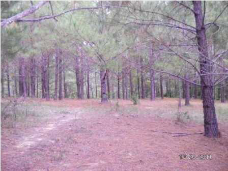 0 Evergreen Road Louisville, MS 39339 - Photo 10 of 13 Photo 10