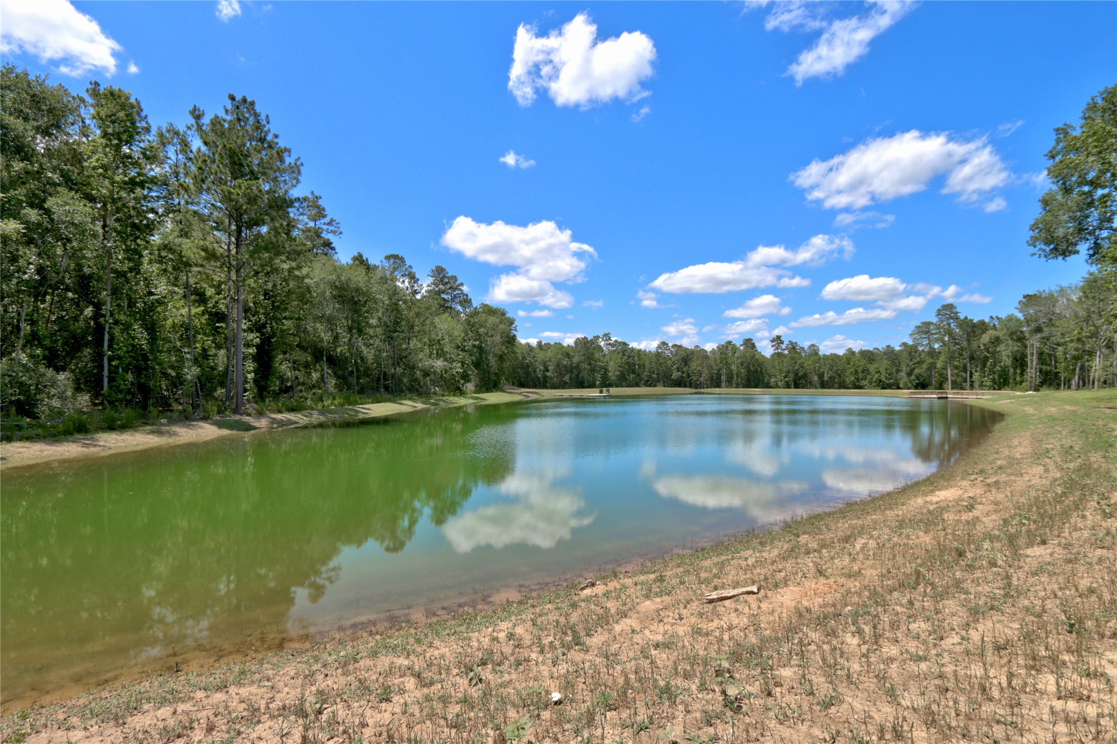 258 Heartland Road New Waverly, TX 77358 - Photo 21 of 27 Community Pond