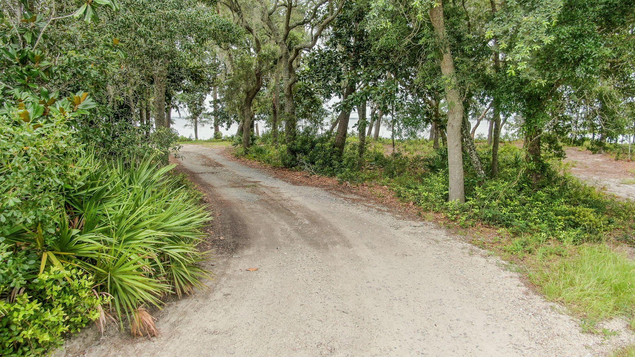 0 Native Tree Lane Santa Rosa Beach, FL 32459 - Photo 1 of 10 a view of a yard with plants and trees