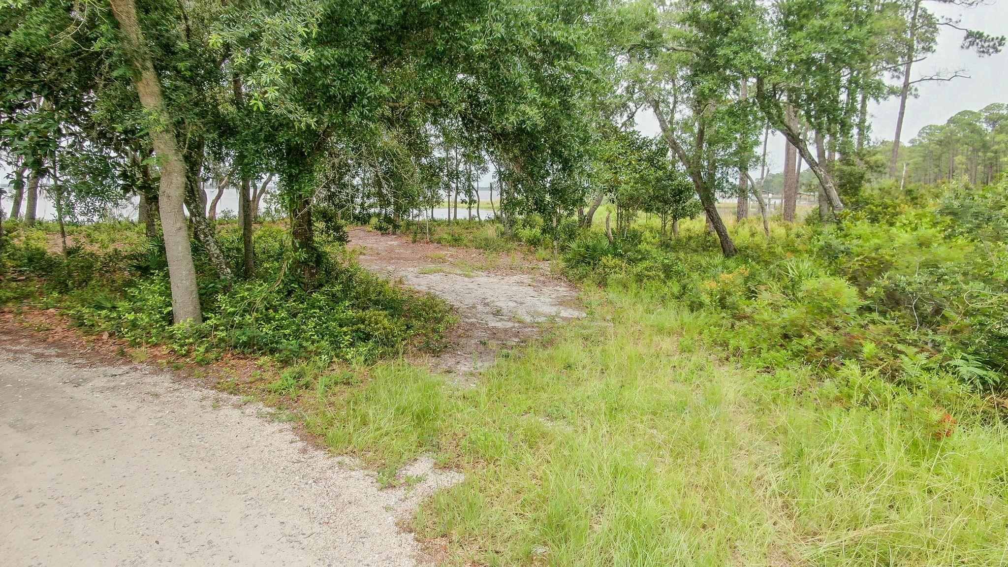 0 Native Tree Lane Santa Rosa Beach, FL 32459 - Photo 2 of 10 a view of outdoor space and trees