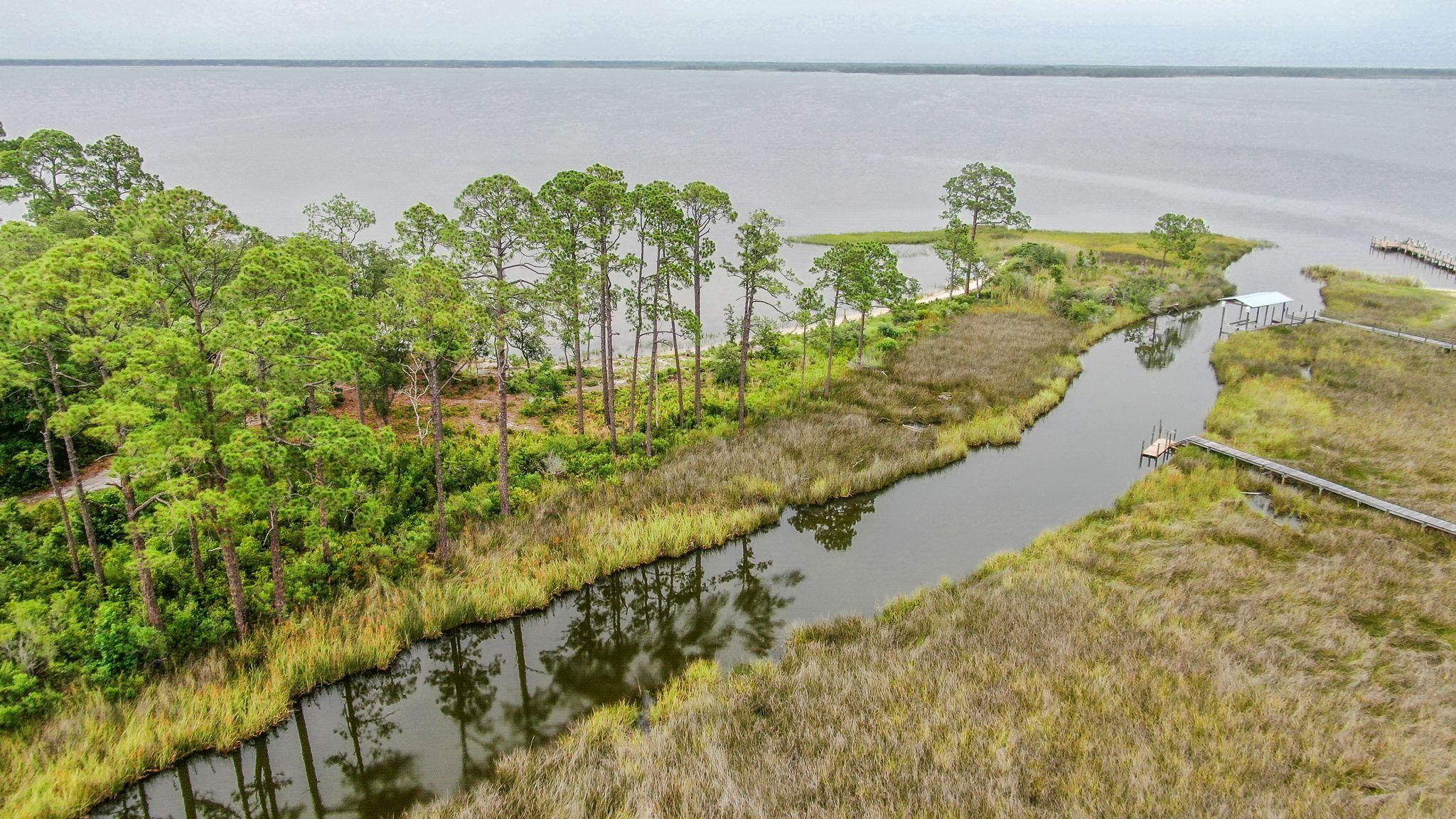 0 Native Tree Lane Santa Rosa Beach, FL 32459 - Photo 5 of 10