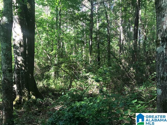 Royster Road, Unit 2 67 Ashland, AL 36251 - Photo 3 of 5