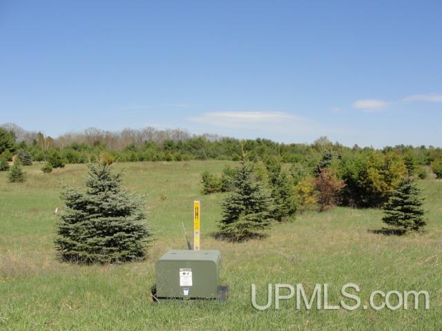 T-wi Youngs Lake Road Dunbar, WI 54119 - Photo 3 of 5