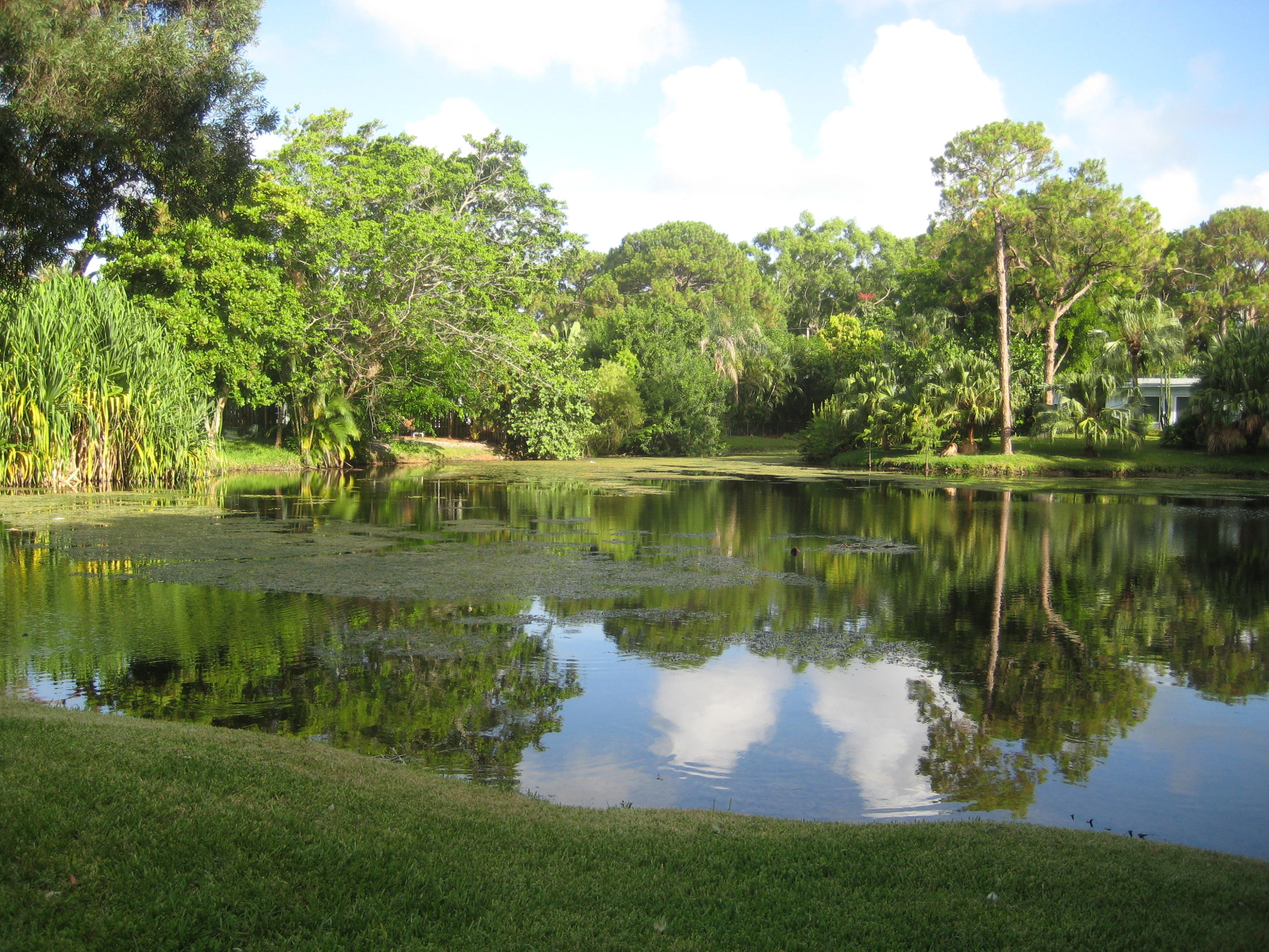 15024 Jackson Road Delray Beach, FL 33484 - Photo 4 of 32 IMG_2252