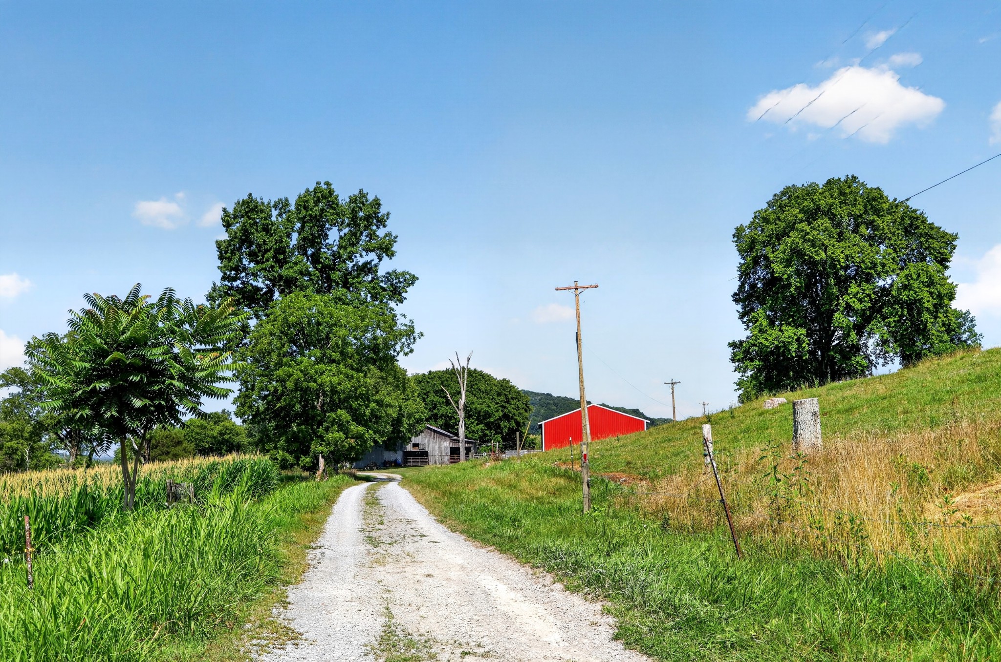 5713 Smith Fork Road Liberty, TN 37095 - Photo 67 of 74