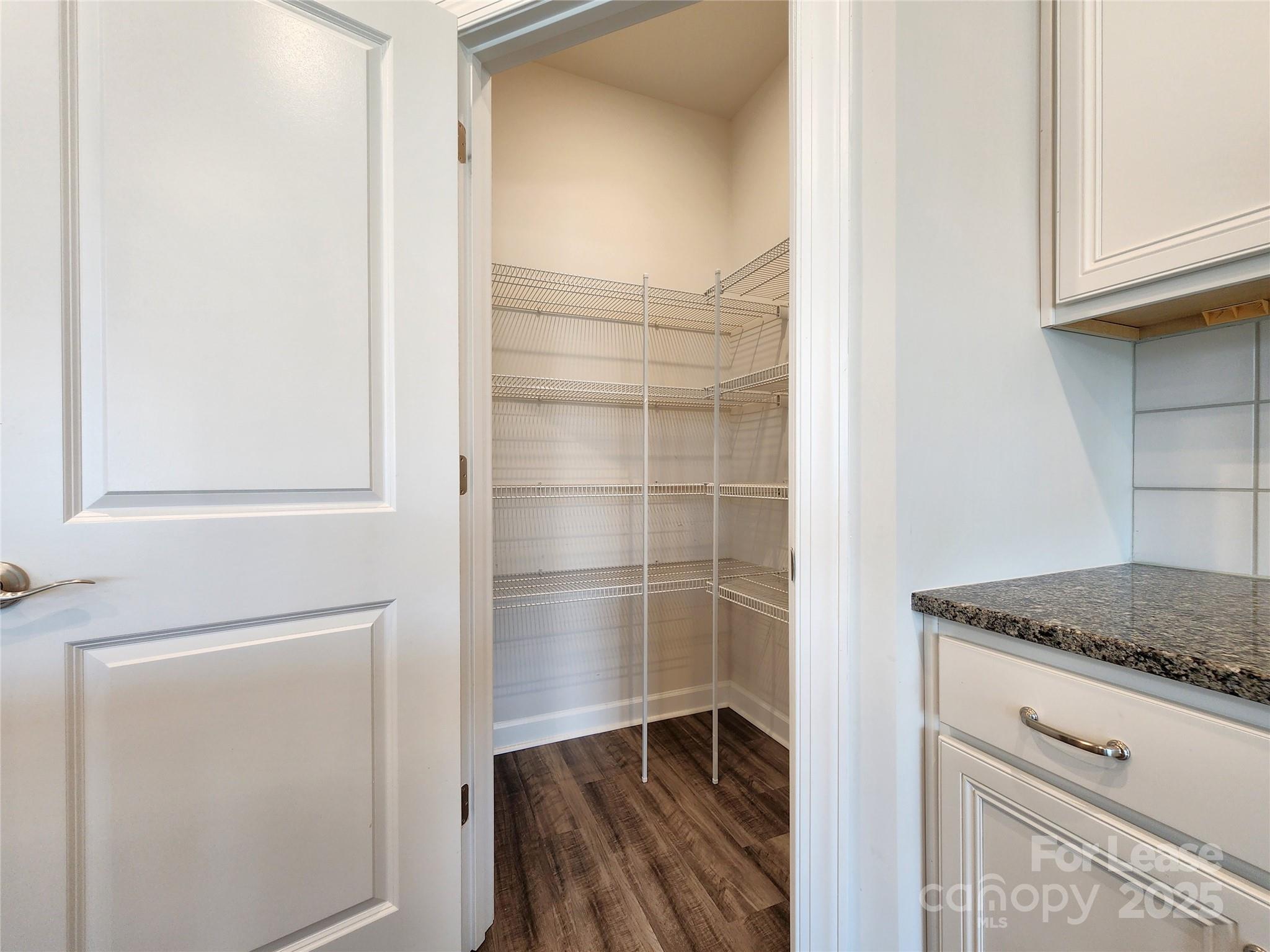 4227 Canopy Creek Drive Denver, NC 28037 - Photo 8 of 33 a view of storage and utility room with wooden floor