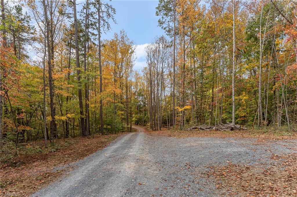 1445 Henley Country Road Asheboro, NC 27203 - Photo 14 of 44 Gallery Image 14