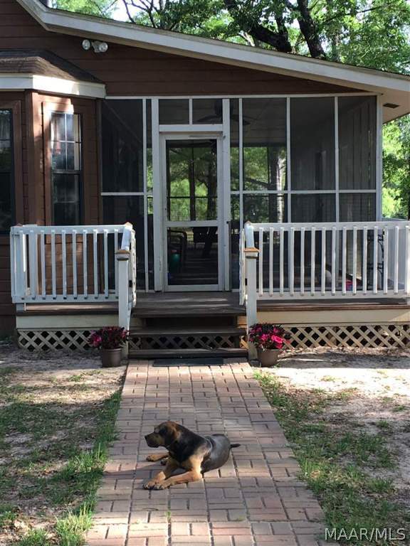 2037 Iron Bridge Road Samson, AL 36477 - Photo 21 of 36 Back porch entry