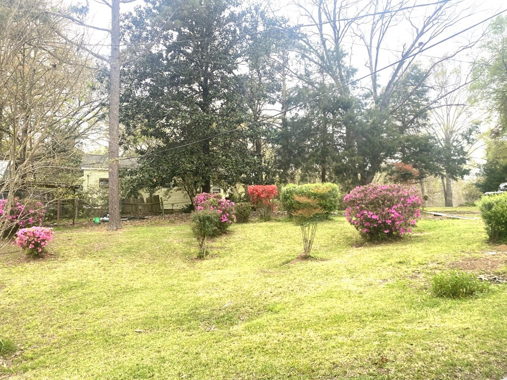 135 Lagrange Road Natchez, MS 39120 - Photo 6 of 24 Photo 6