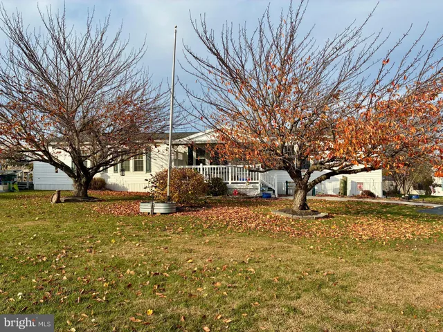 a view of a yard with a tree
