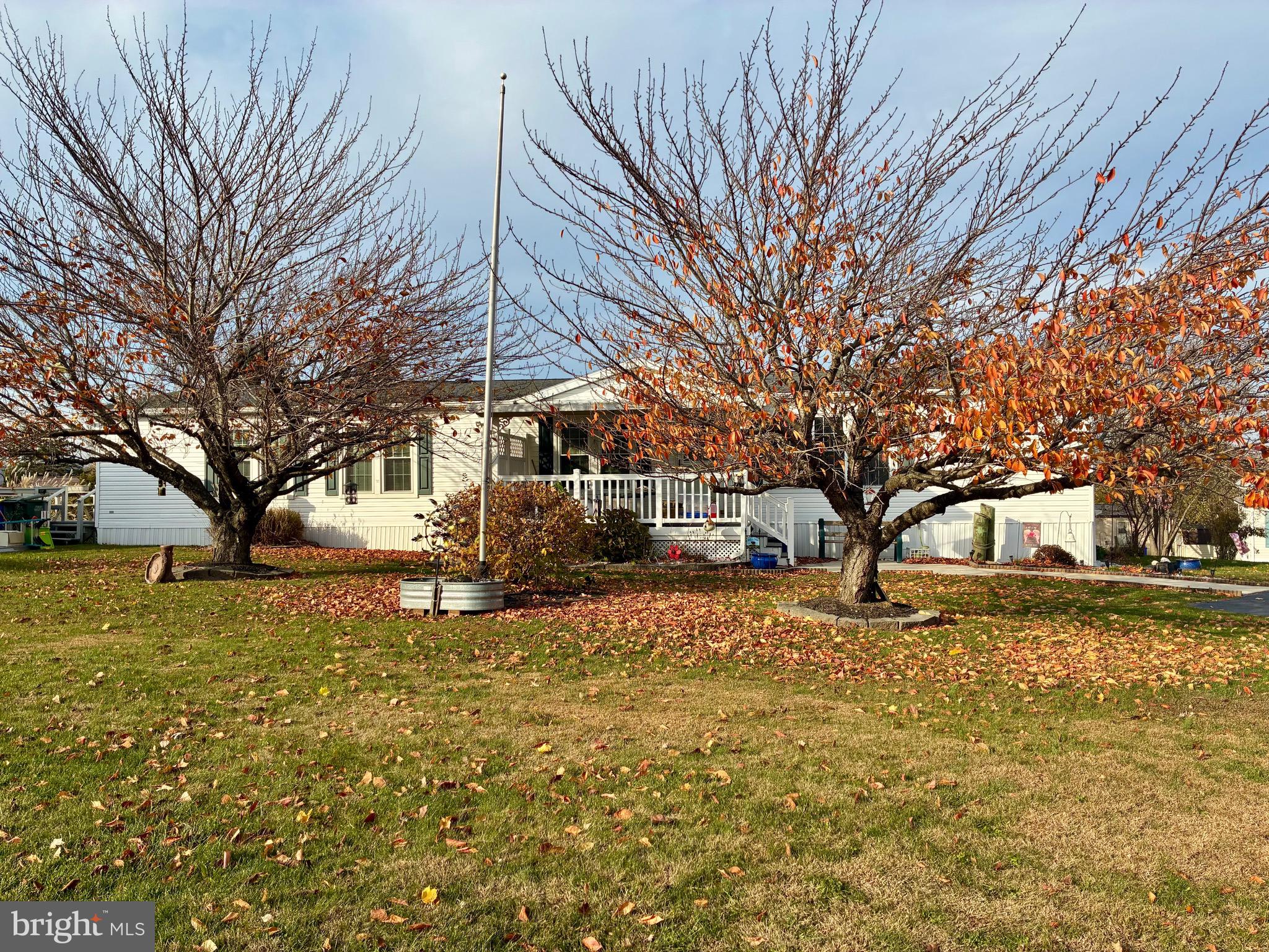 a view of a yard with a tree