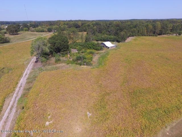 Lot 6 Arkadelphia Road Jasper, AL 35504 - Photo 6 of 9 Gallery Image 6