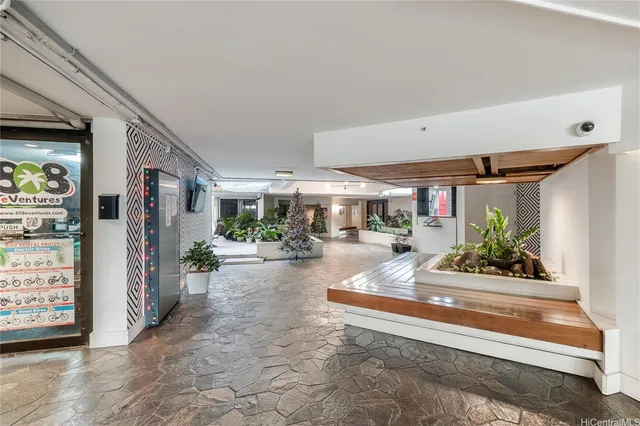 a living room with furniture and a potted plant
