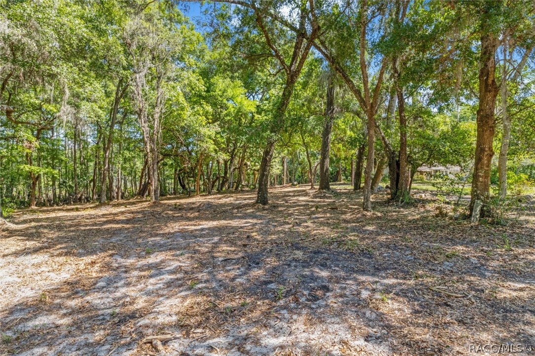 1255 South Estate Point Inverness, FL 34450 - Photo 42 of 84
