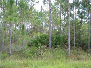 0 Monarch Drive Santa Rosa Beach, FL 32459 - Photo 1 of 1 Gallery Image 1