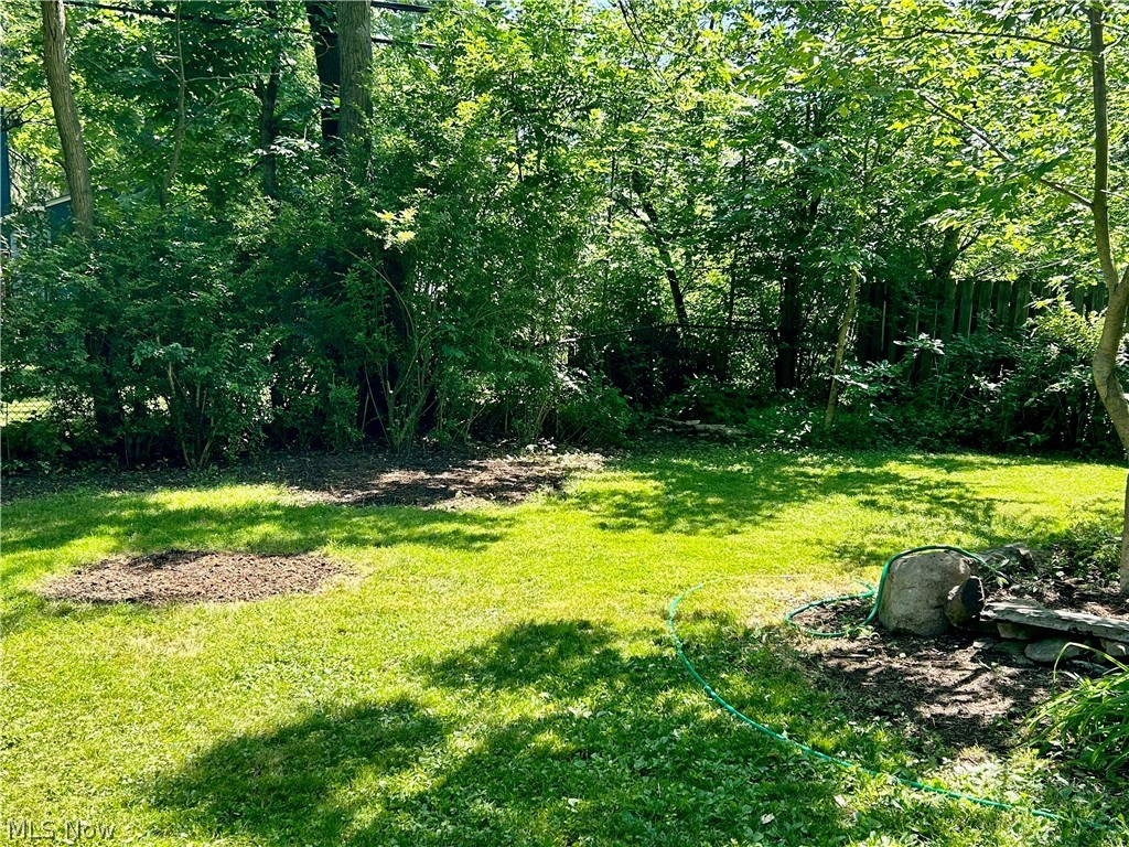 3266 Ormond Road Cleveland, OH 44118 - Photo 39 of 40 View of yard