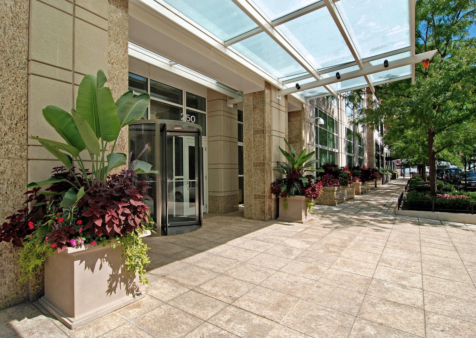 a view of path along with potted plants