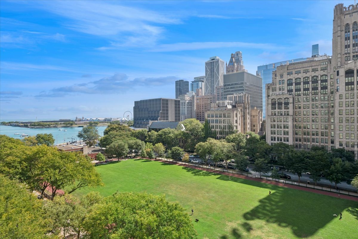 250 East Pearson Street, Unit 901 Chicago, IL 60611 - Photo 20 of 24