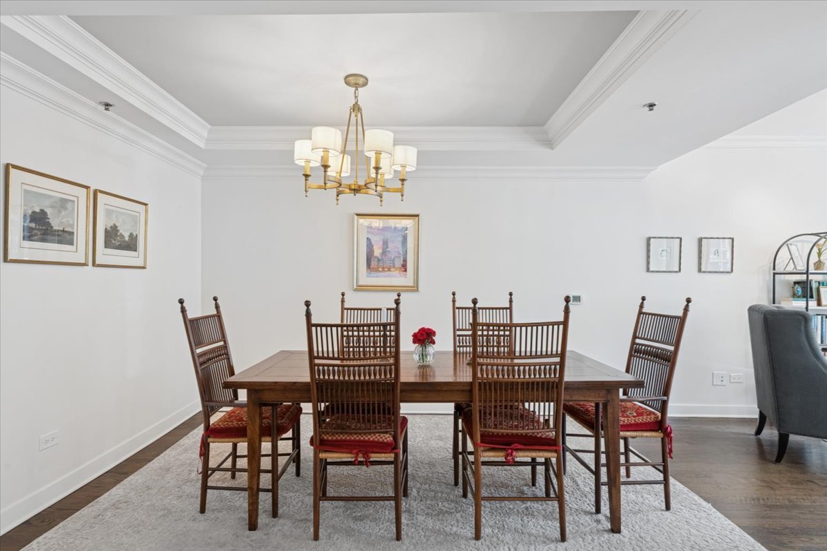 250 East Pearson Street, Unit 901 Chicago, IL 60611 - Photo 10 of 24