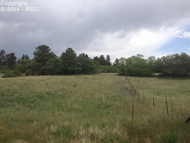10595 Milam Road Colorado Springs, CO 80908 - Photo 6 of 9