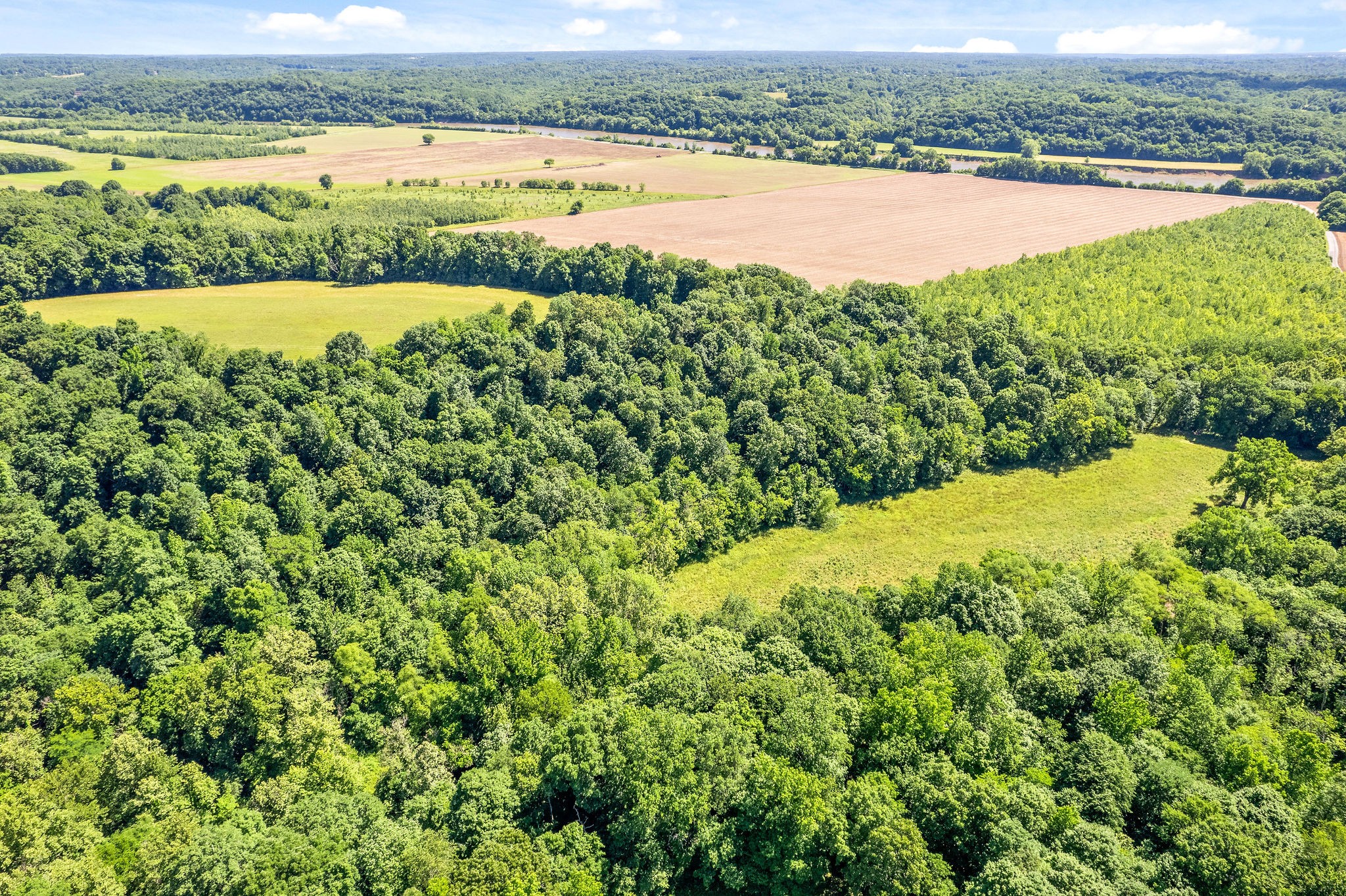 4650 Weakley Road Southside, TN 37171 - Photo 13 of 63