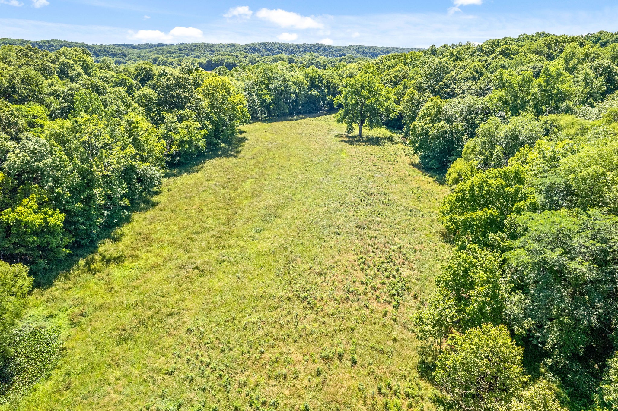 4650 Weakley Road Southside, TN 37171 - Photo 14 of 63