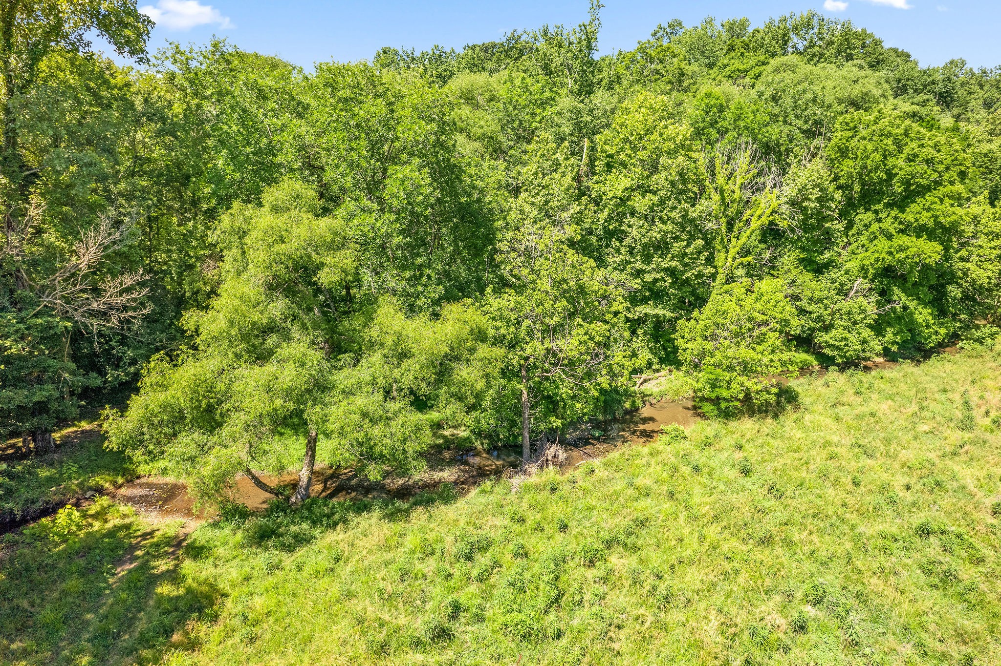 4650 Weakley Road Southside, TN 37171 - Photo 19 of 63