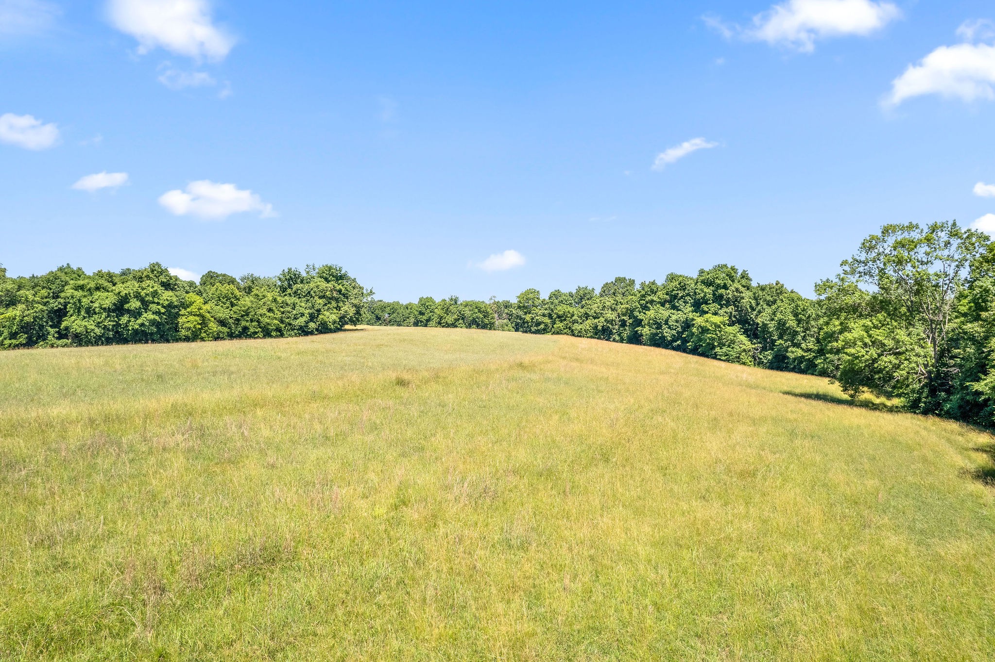 4650 Weakley Road Southside, TN 37171 - Photo 20 of 63